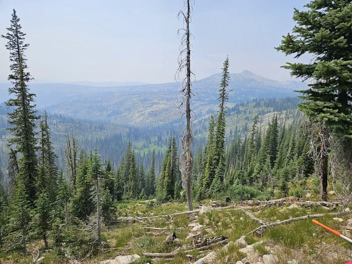 Nez Perce-Clearwater National Forest 1