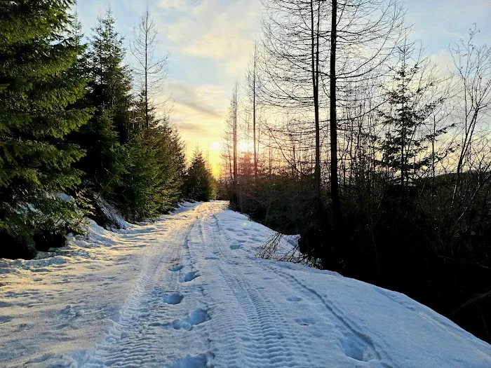 Nez Perce-Clearwater National Forest 4