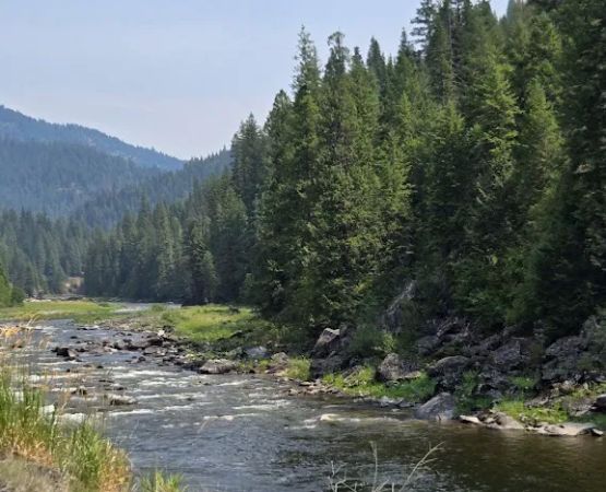 Nez Perce-Clearwater National Forest
