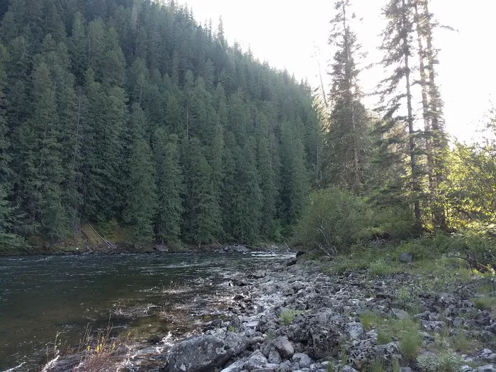 Nez Perce-Clearwater National Forest 9