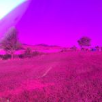 Tilford Gulch Campground