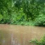 Long Bottom Ford Campground