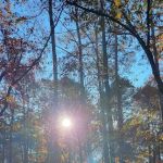 Devils Fork State Park Campground