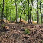 Table Rock State Park Campground Loop A