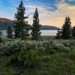 Bowery Haven Resort & RV Park