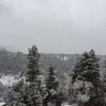 MAHOGANY COVE CAMPGROUND