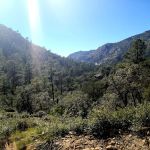 General Hitchcock Campground