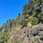 Salt Creek Recreation Area