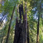 Indian Creek County Park