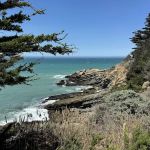 Gualala Point Regional Park