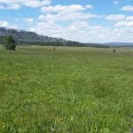 Frank Church - River of No Return Wilderness