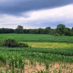 Mitten Getaways Glamping Co.