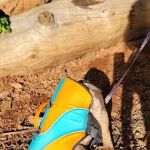 Peninsula Camping & Boating