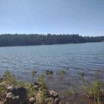 Doe Point Campground & Day Use