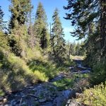 North Fork Campground