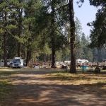 Lily Glen Campground