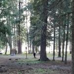 Apserkaha Campground