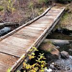 Beaver Dam Campground