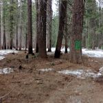 Trout Creek Campground