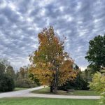 Grand Isle State Park