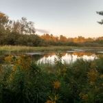 Jelly Beans Riverside Campground