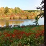 Massena International Kampground