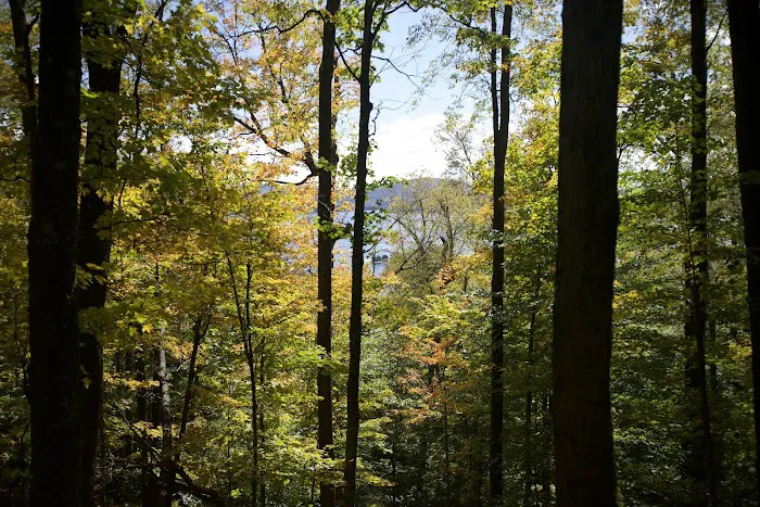 Cranberry Lake Campground 0