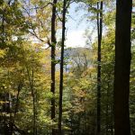 Cranberry Lake Campground
