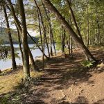 Rocky Gap State Park Campground
