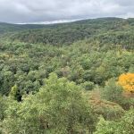 Green Ridge State Forest