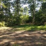 Green Ridge State Forest Campsite #7