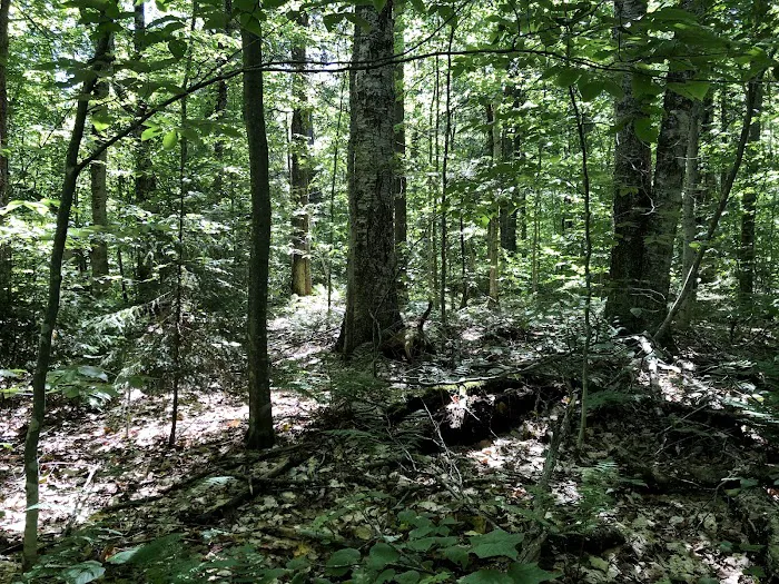 Lake Durant State Campground 6
