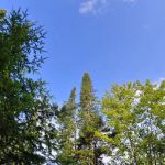 Golden Beach Campground