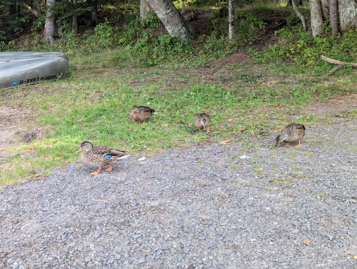 Eighth Lake Campground 5