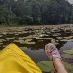 Barton Cove Campground and Canoe Rental