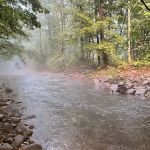 Woodland Valley Campground