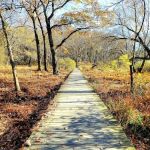 Cheesequake State Park