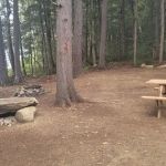 Buck North 5, Limberlost Forest