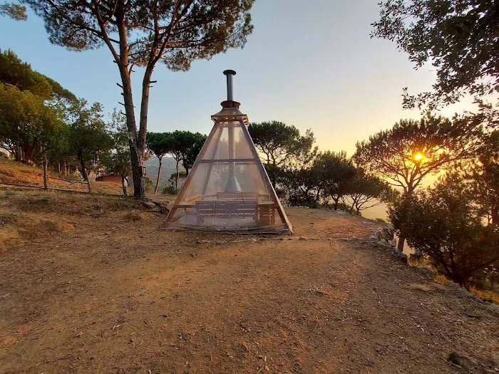 Le Camp 7