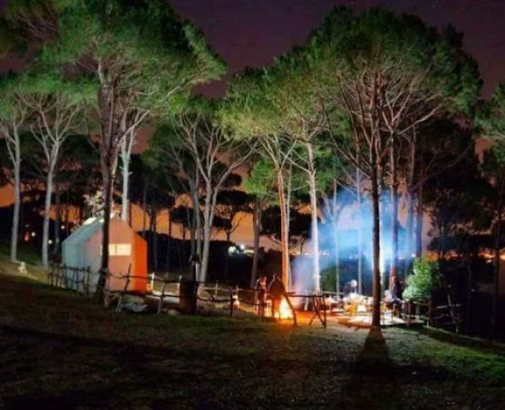 Le Camp