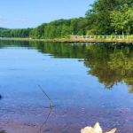 French Creek State Park Campground