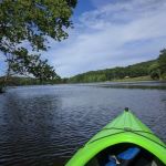 French Creek State Park Campground Loop C