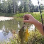 Rushford Lake Campground