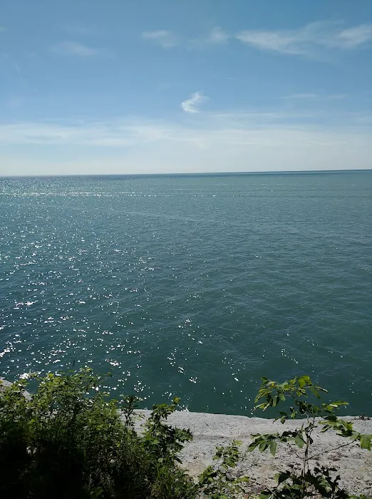 Evangola State Park Campground 2