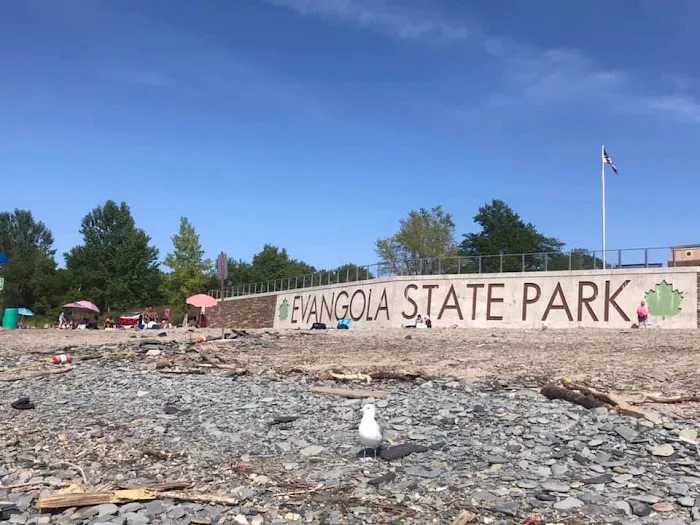 Evangola State Park Campground 6