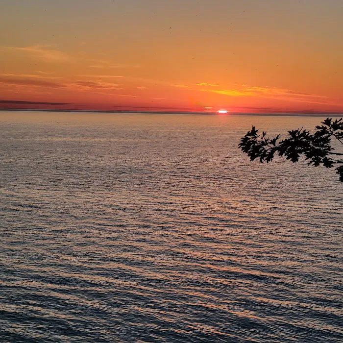 Evangola State Park Campground 8