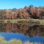 Kellystone Park Campground