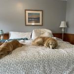 Drakes Island Resort