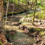 Cave Mountain Lake Campground