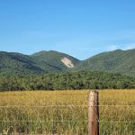 Hopper Creek Group Campground